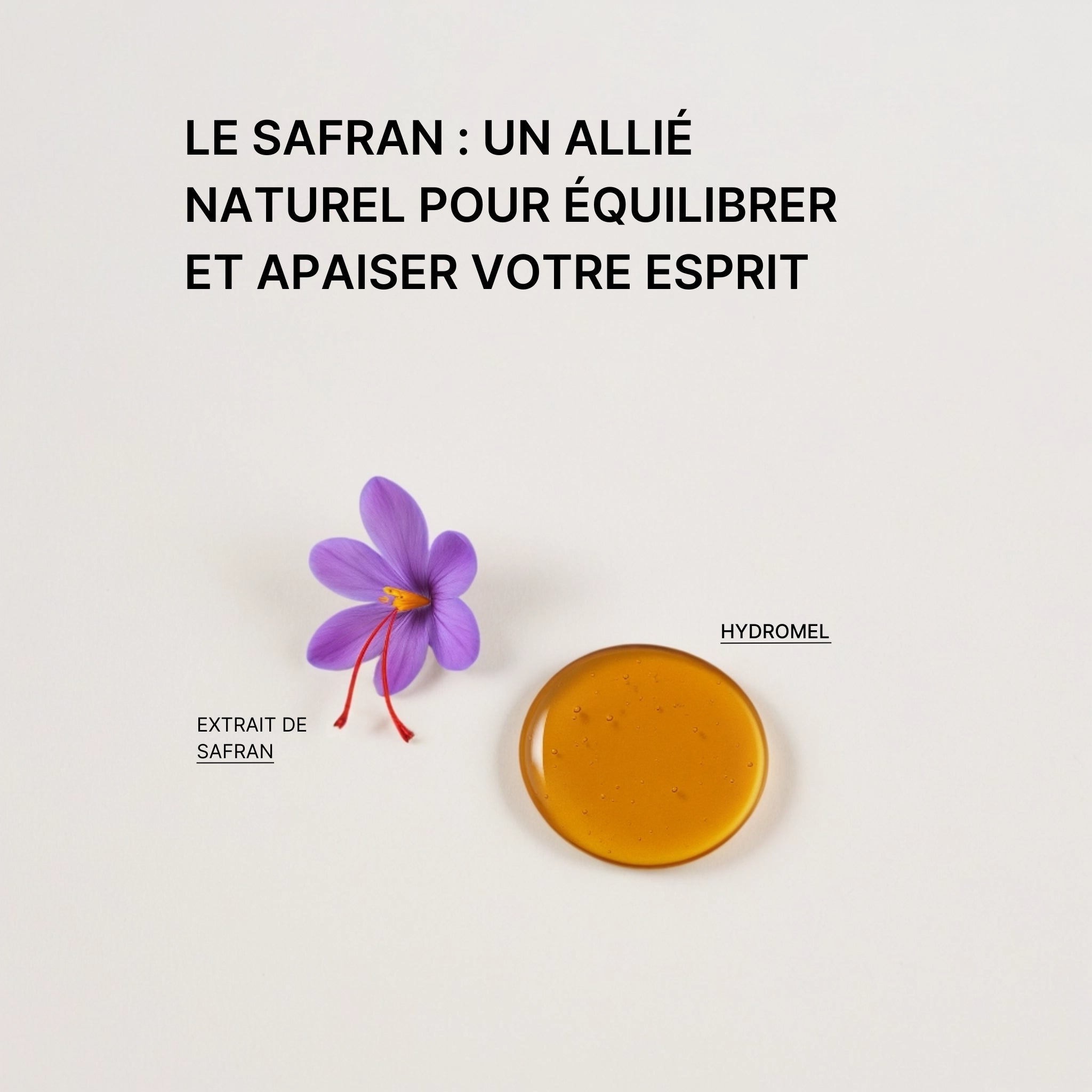 Le Safran en Complément Alimentaire : Bienfaits et Utilisation ...